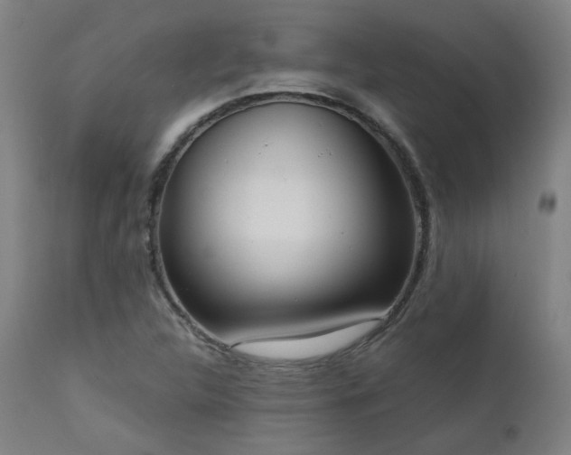 X0000111461312200907131445