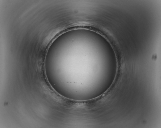 X0000111461313200907131445