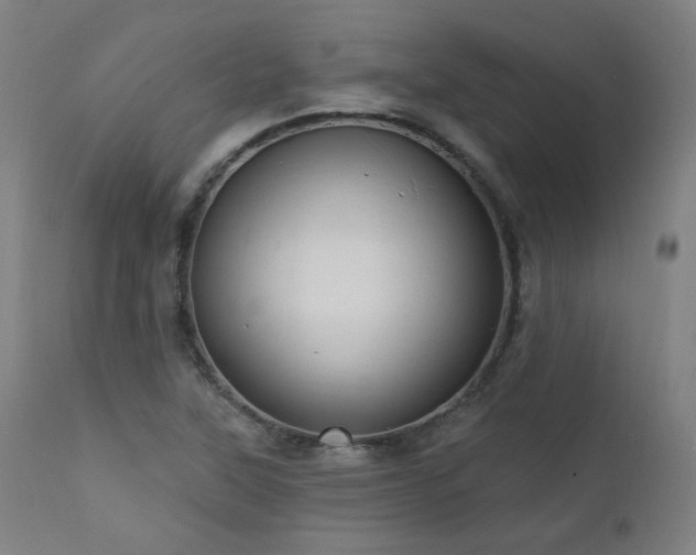 X0000111461315200907131445