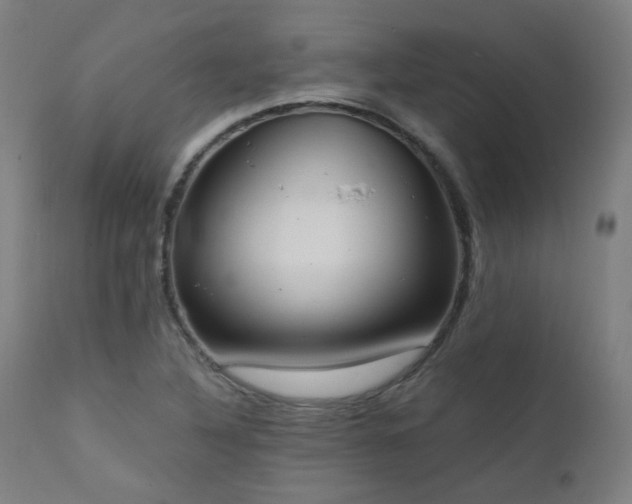 X0000111461316200907131445