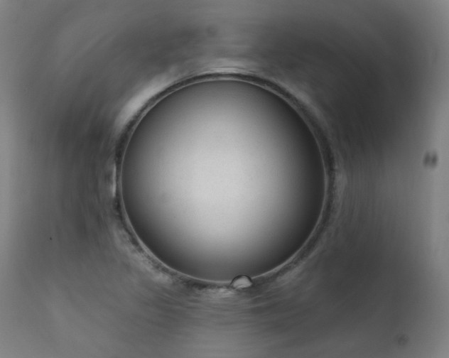 X0000111461317200907131445