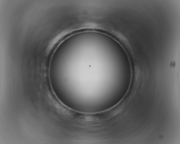 X0000111461318200907131445