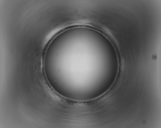 X0000111461320200907131445