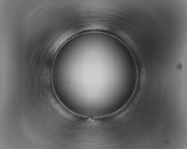 X0000111461321200907131445