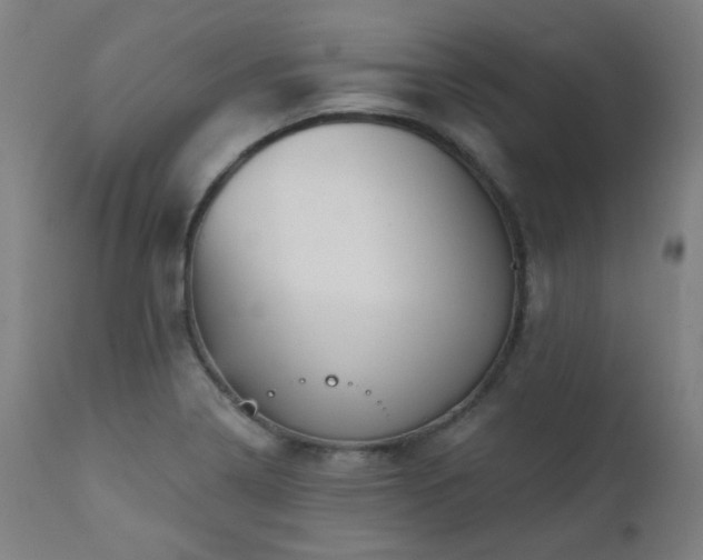 X0000111461322200907131445
