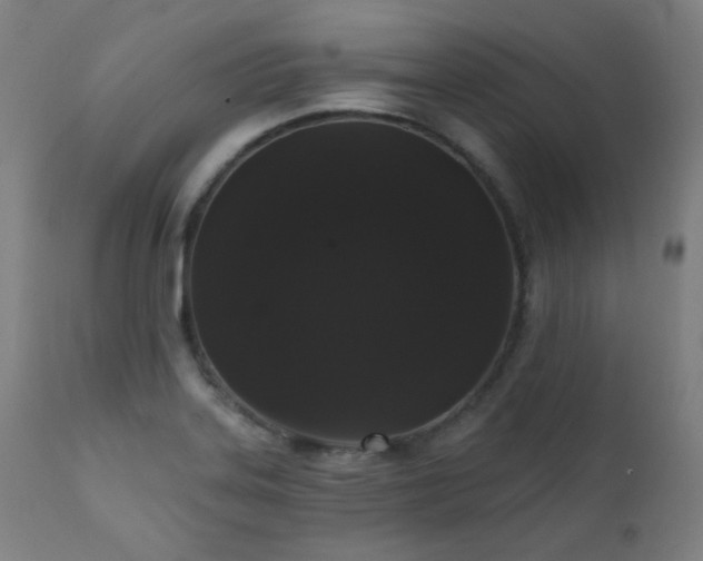 X0000111461323200907131445