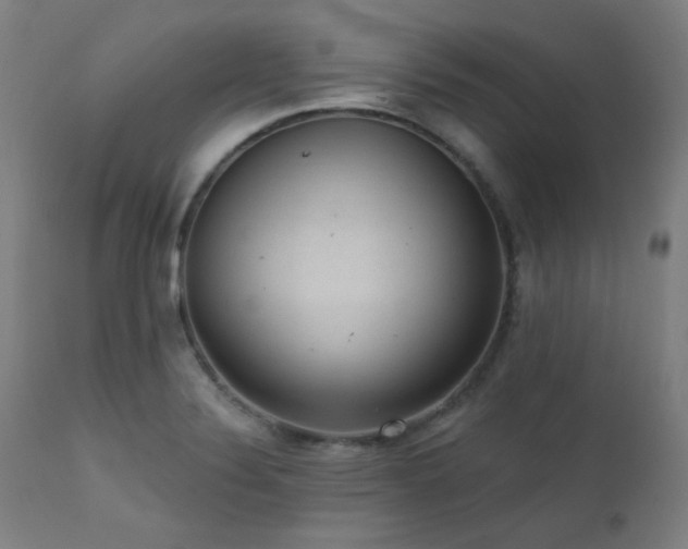 X0000111461324200907131445
