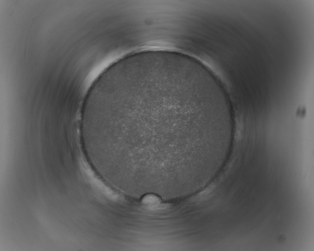 X0000111461325200907131445