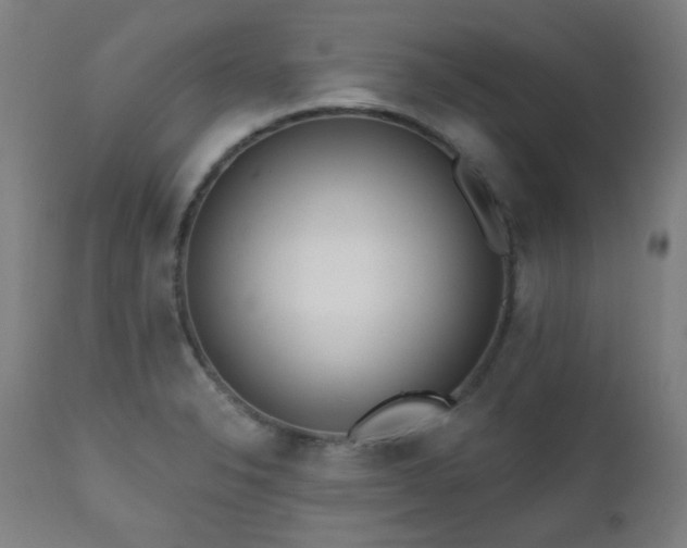 X0000111461326200907131445