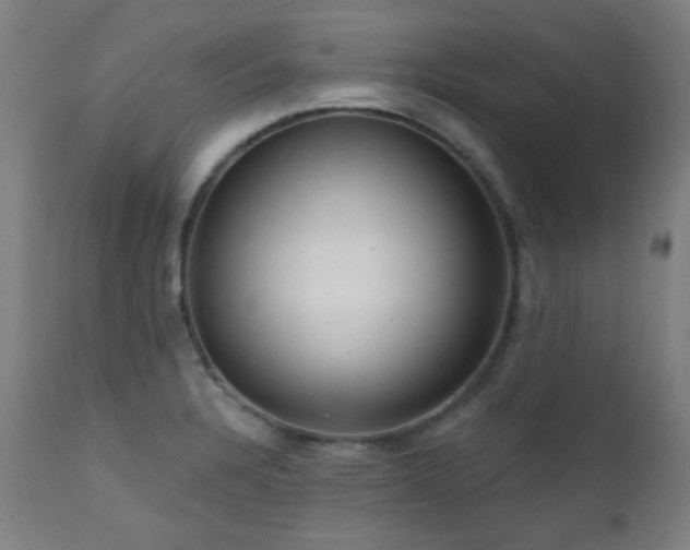 X0000111461328200907131446