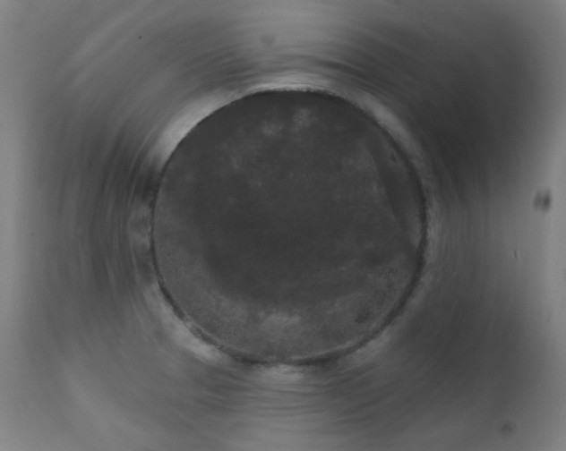 X0000111461329200907131446