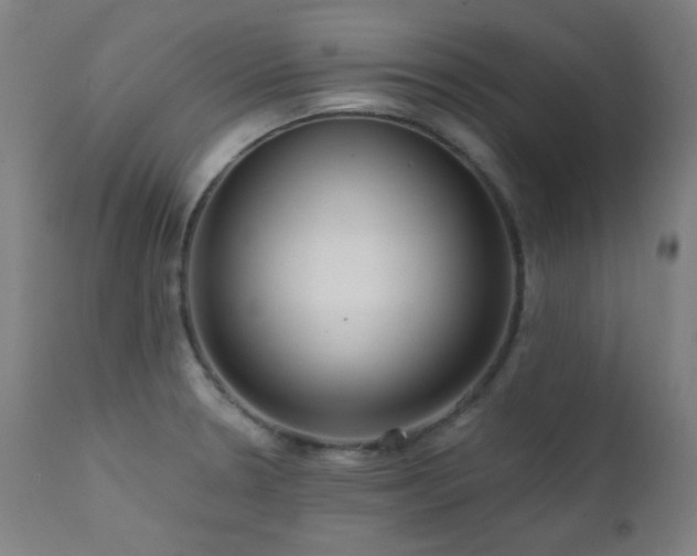 X0000111461330200907131446