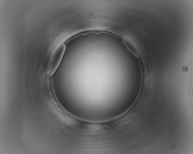 X0000111461332200907131446