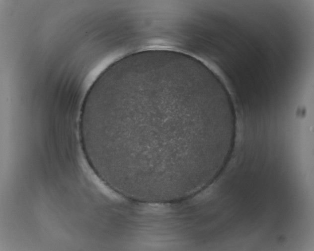 X0000111461333200907131446