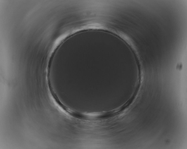 X0000111461334200907131446
