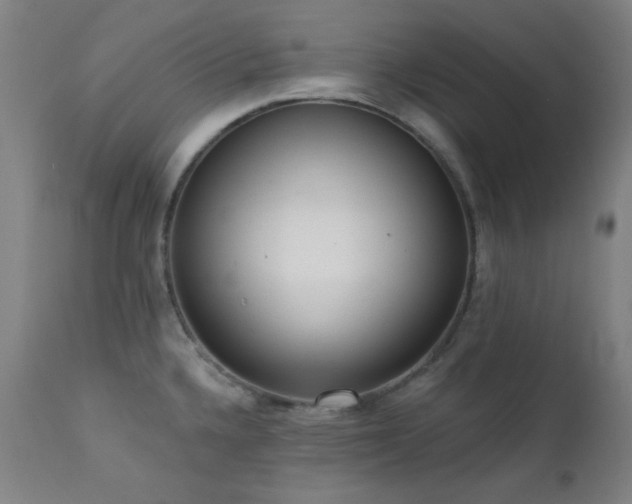 X0000111461336200907131446