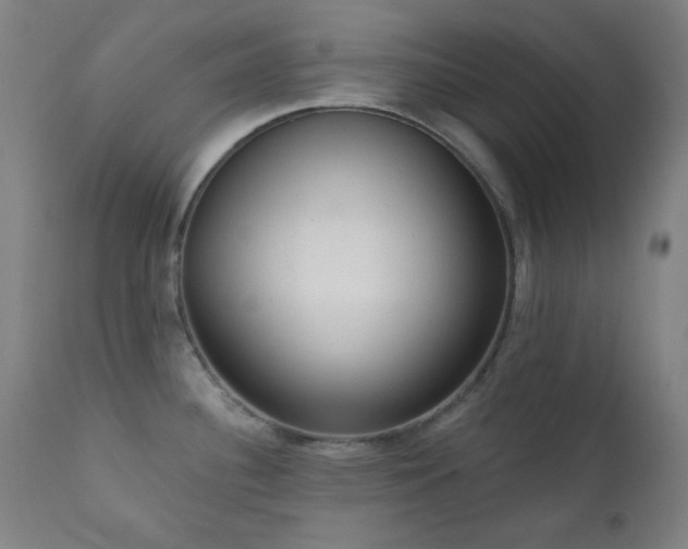 X0000111461340200907131446