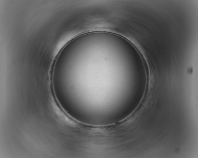 X0000111461341200907131446