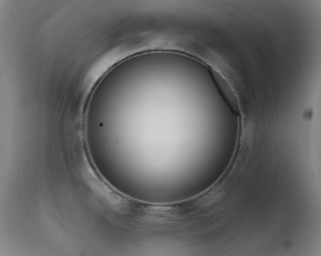 X0000111461342200907131446