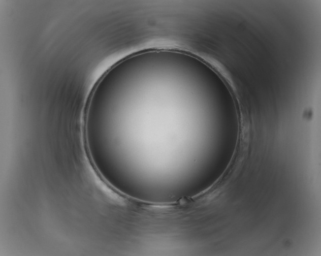 X0000111461343200907131446