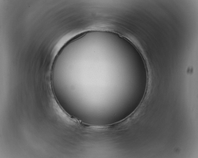 X0000111461344200907131446