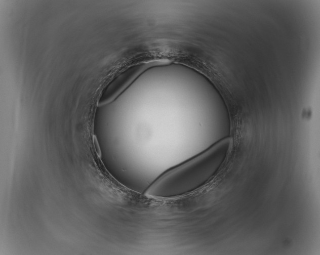 X0000111461345200907131445