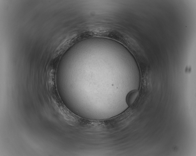 X0000111461346200907131445