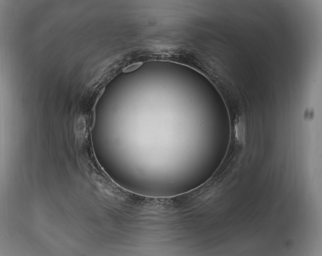 X0000111461347200907131445