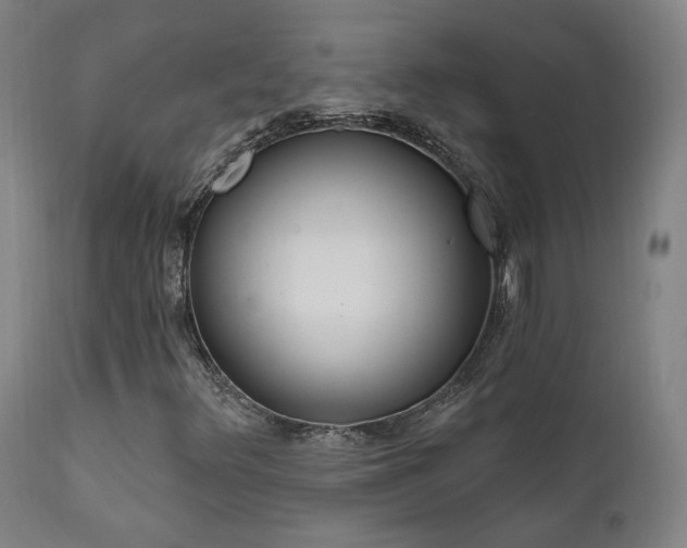 X0000111461348200907131445
