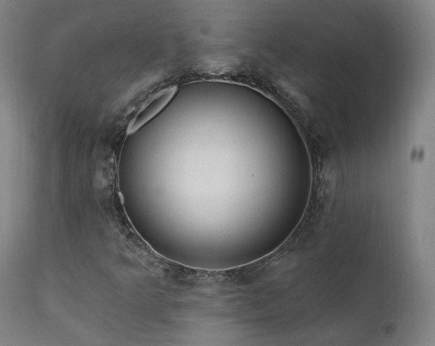 X0000111461349200907131445