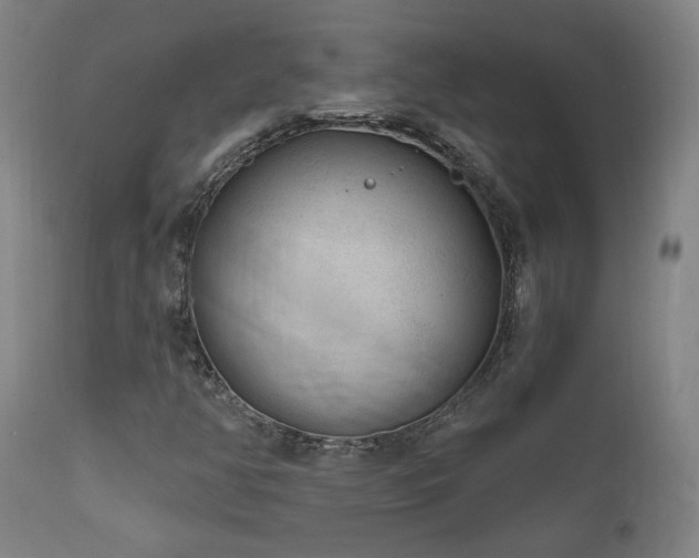 X0000111461350200907131445