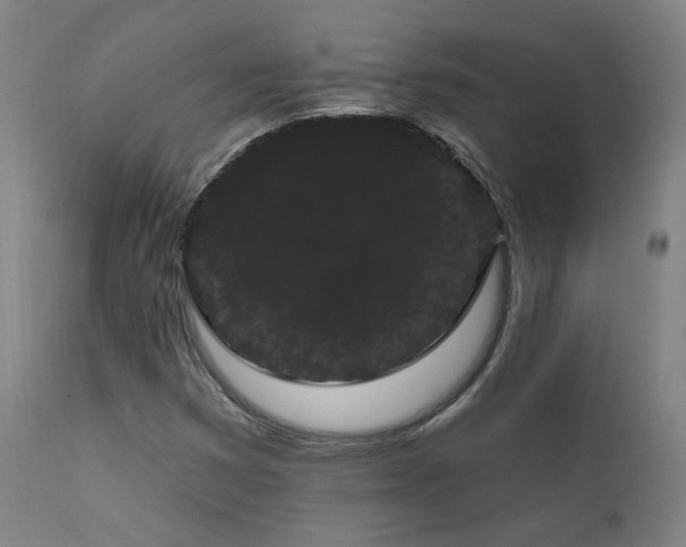 X0000111461353200907131445
