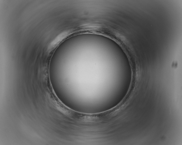 X0000111461354200907131445