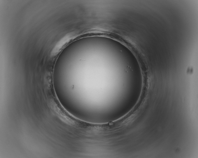 X0000111461355200907131445
