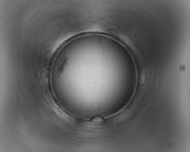 X0000111461356200907131445