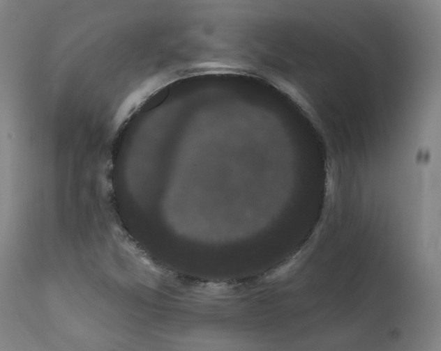 X0000111461357200907131445