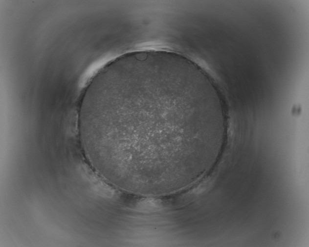 X0000111461358200907131445
