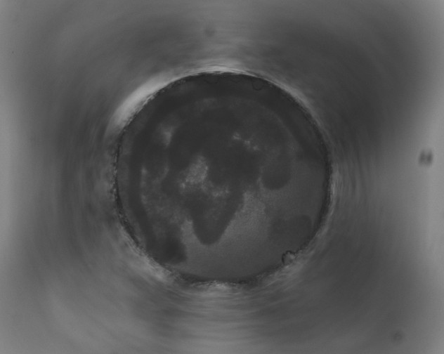 X0000111461359200907131445