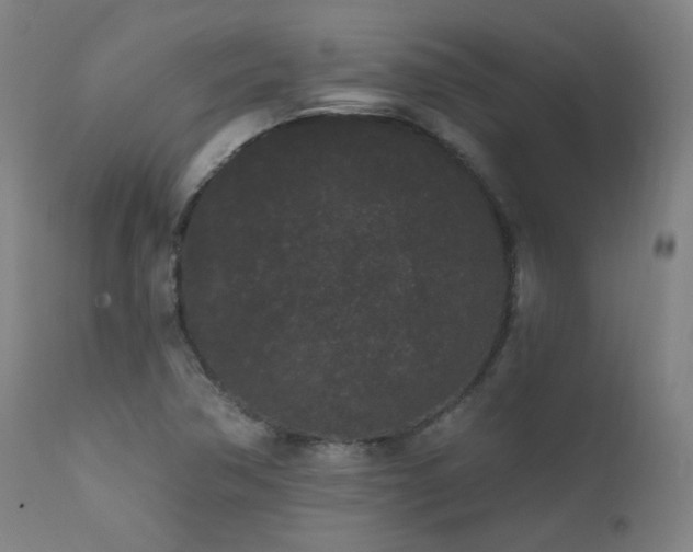 X0000111461362200907131445