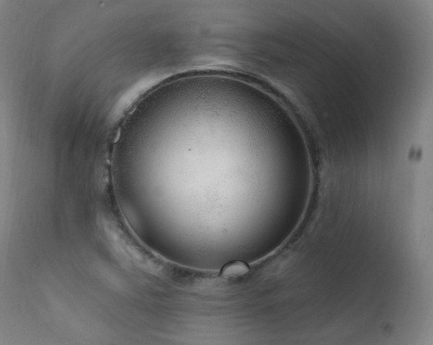 X0000111461363200907131445