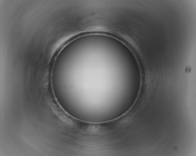 X0000111461364200907131445