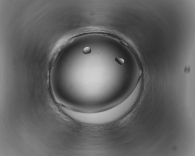 X0000111461365200907131445
