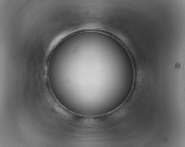X0000111461366200907131444