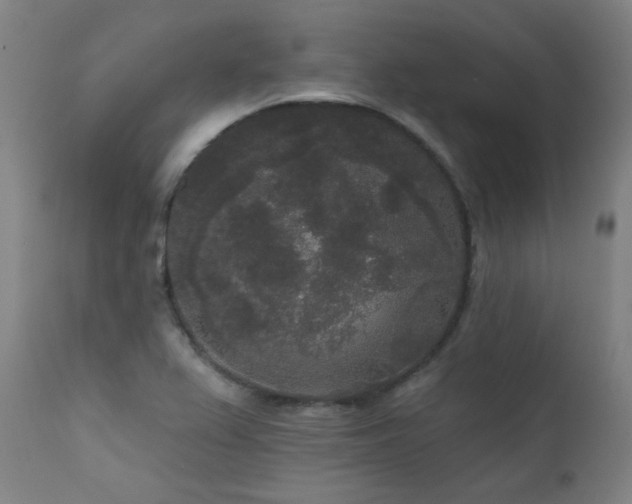 X0000111461367200907131444