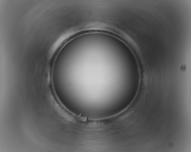 X0000111461368200907131444