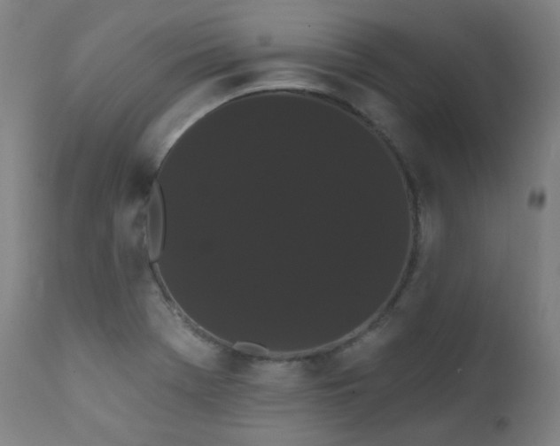 X0000111461369200907131444