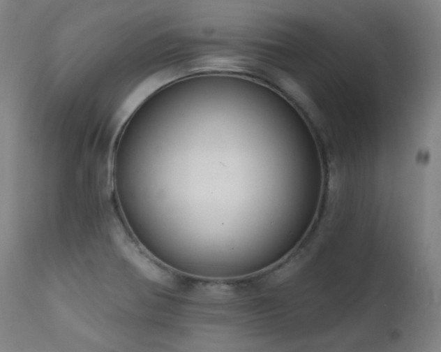 X0000111461370200907131444