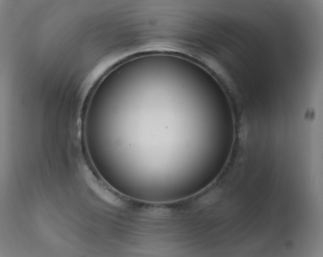 X0000111461372200907131444