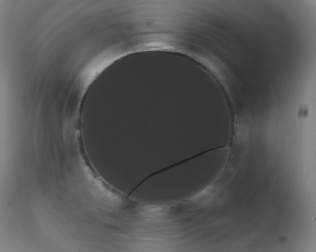 X0000111461373200907131444