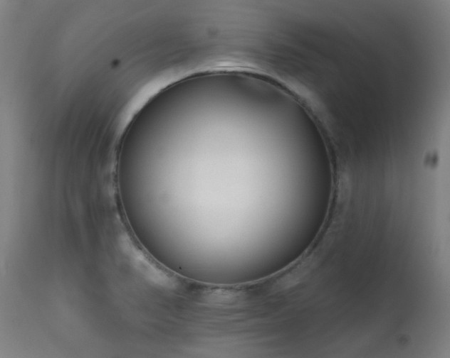 X0000111461374200907131444